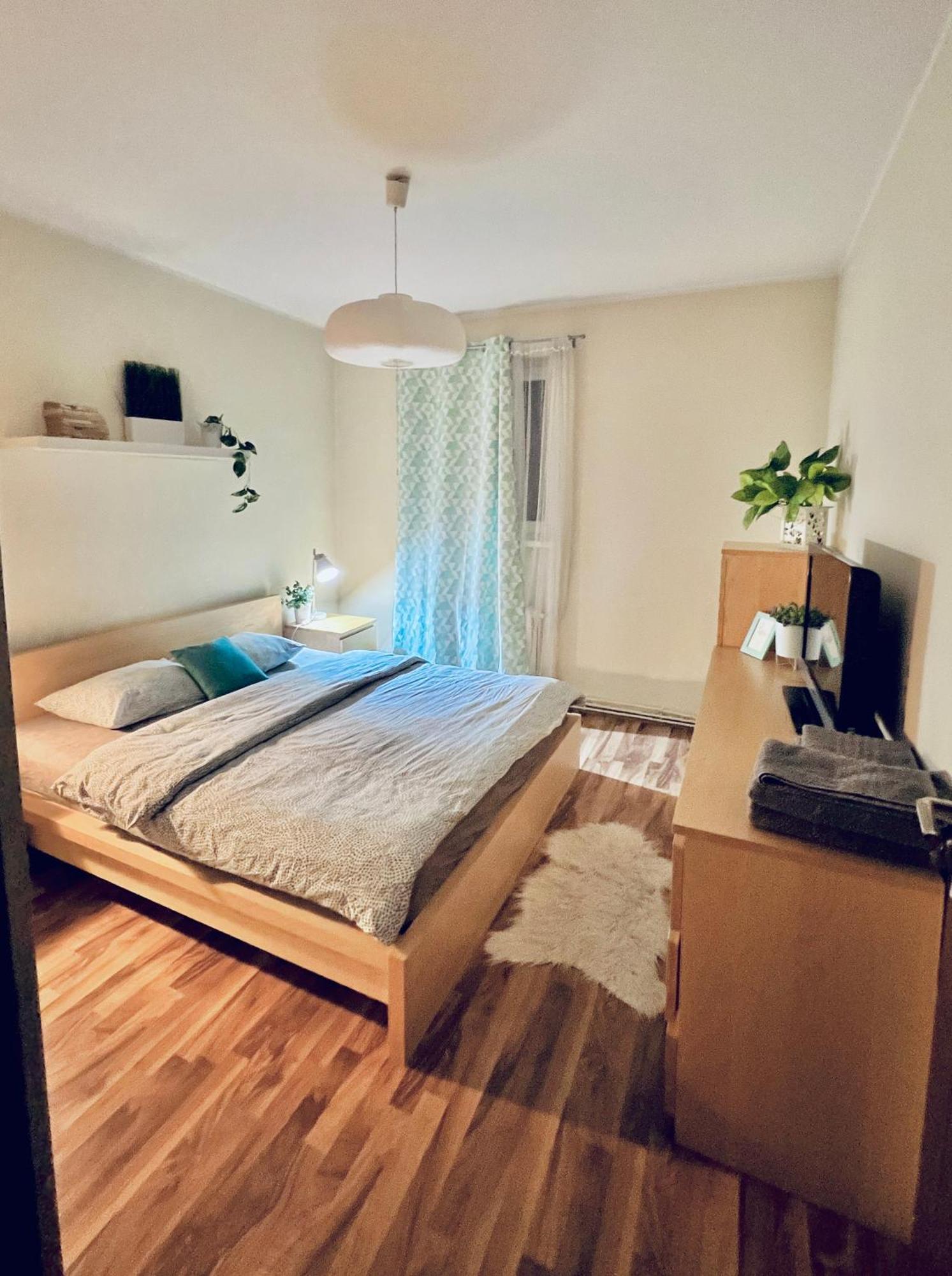 Apartment Middle Of The Boulevard Alba Iulia